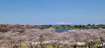 東北風土マラソン2026 来年4/19に開催決定 & 本日より