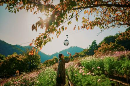 神戸を一望できる山上のリゾート“神戸布引ハーブutf-8