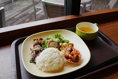 カフェをリニューアル!〜オーガニック野菜で学utf-8 カフェをリニューアル!〜オーガニック野菜で学utf-8