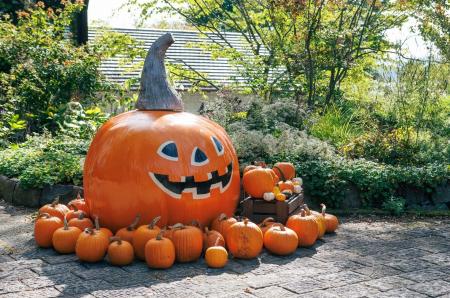 【山梨県・萌木の村】「萌木の村ハロウィンマンス2025