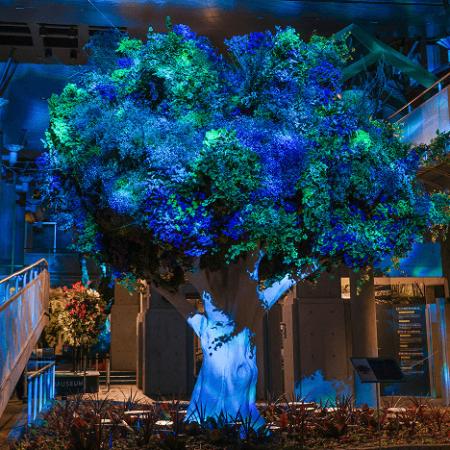 初開催のトリエンナーレに注目！定番から穴場まutf-8