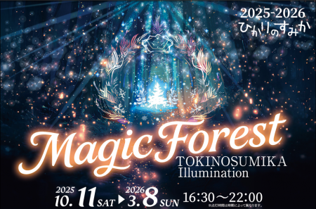 550万球の光が織りなす幻想。時之栖イルミネーション2 550万球の光が織りなす幻想。時之栖イルミネーション2