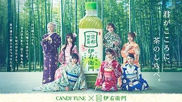 サントリー緑茶「伊右衛門」新ＷＥＢ-ＣＭ ＣＡＮＤＹ