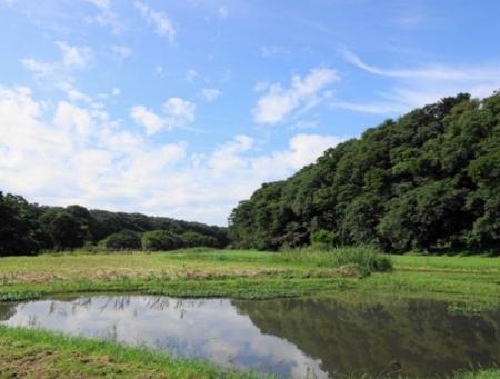 【千葉県佐倉市】＜佐倉市初＞畔田谷津が環境省「自然