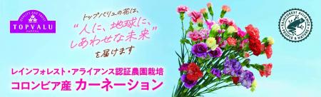 国内プライベートブランド初！レインフォレスト・アラ