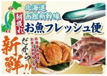 鮮度抜群！函館の朝獲れ鮮魚を新幹線配送で、その日の