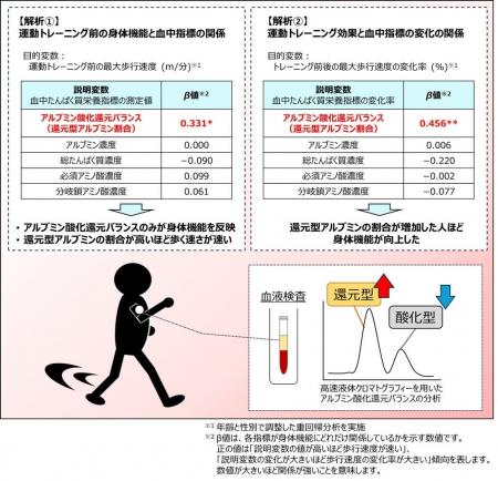 血中アルブミン酸化還元バランスが中高年齢者における