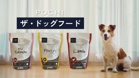《POCHI》スタッフも驚き！ジャック・ラッセル・テリ