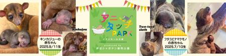 屋内型ふれあい動物園＆アミューズメント施設「アニタ