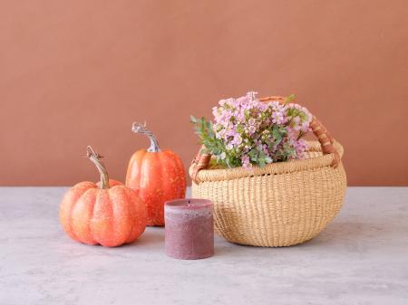 ハロウィンにも映えるネイティブフラワーの故郷・南半