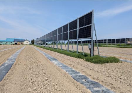 北海道岩見沢市でソーラーシェアリング型太陽光発電設