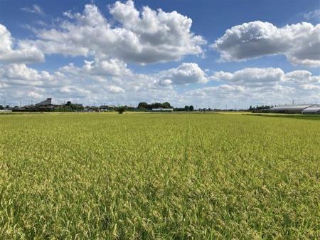 BASFとNEWGREEN、「xarvio(R) HEALTHY FIELDS」に土壌