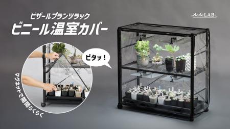 【多肉植物・アガベ愛好家へ】コレクション株を、来春