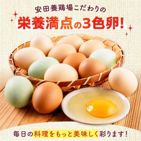 【横須賀市ふるさと納税】直売所以外では入手困難！知