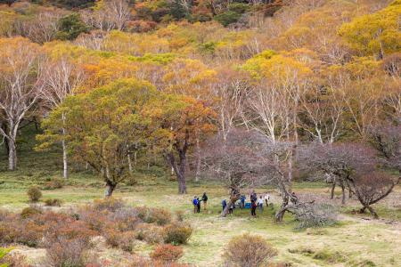 群馬県赤城山 紅葉の時期に「普段は入れない！赤utf-8