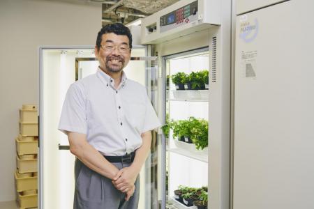 植物が備える力に着目し、植物ホルモンの働きとutf-8