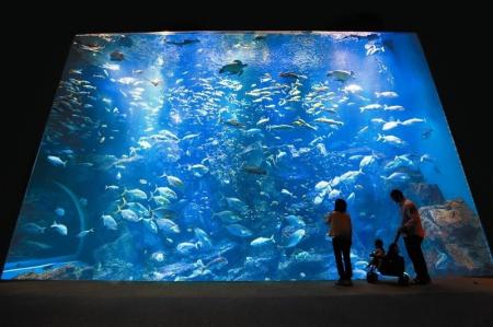 【JAF秋田】JAFデー「男鹿水族館GAO裏側見学ツアー」