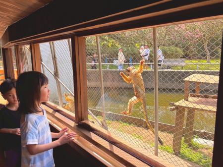 リスザルビュースポット登場【国営海の中道海浜公園】