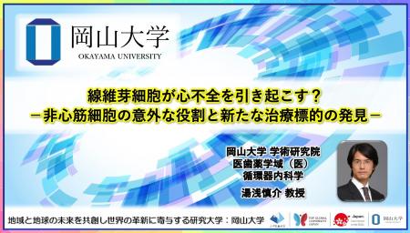 線維芽細胞が心不全を引き起こす？-非心筋細胞の意外