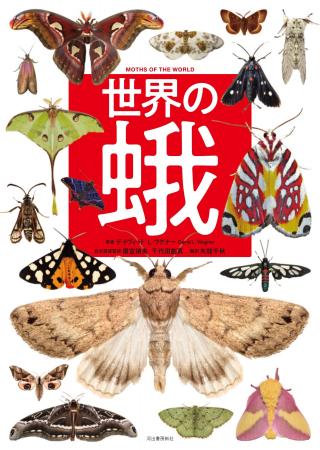 【多様で、美しく、驚異的な生態】世界の蛾類105 分類