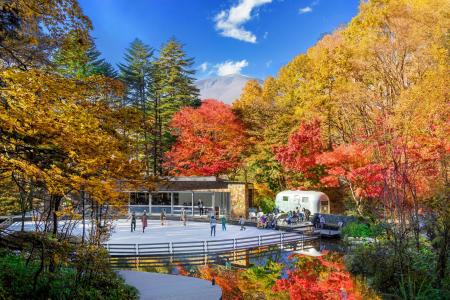 【軽井沢星野エリア】紅葉に包まれる森のスケート場「
