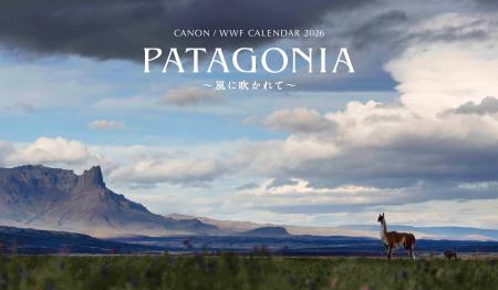「キヤノン/WWF岩合光昭カレンダー2026 PATAGONIA～風