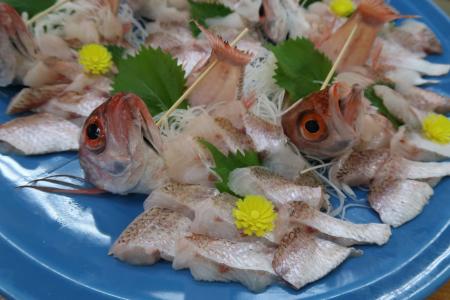 スマホで応募！「舞鶴のさかな提供店」で食事券3千円
