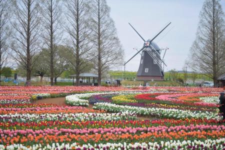 【千葉県柏市】公園の課題解決アイデアを法人から募集