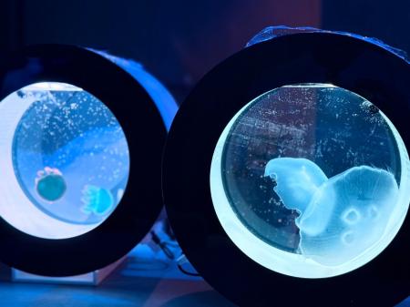 【気軽に行ける水族館のようなバー】各席からクラゲが