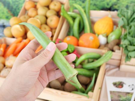 農家の格差解消とサステナビリティを後押しする認証制