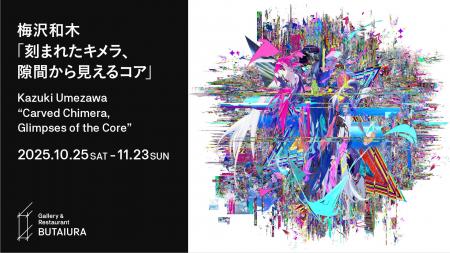 梅沢和木個展「刻まれたキメラ、隙間から見えるコア」