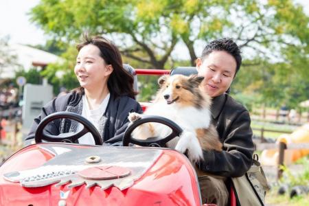 コスモスが咲き誇る園内で愛犬と一緒にアトラクション