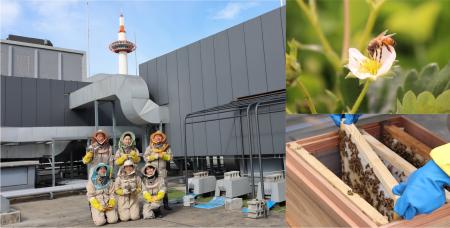 SDGsを学ぶ“都市養蜂見学ツアー” 9/30（火）より予約