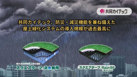 共同カイテック、防災・減災機能を兼ね備えた屋上緑化