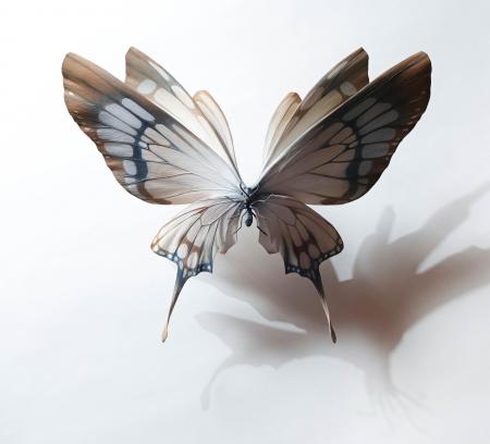 【新宿高島屋】「小島 久典 展‐Helix temporis-」、10