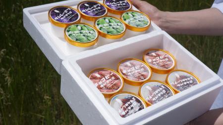 三越伊勢丹オンラインにて「タベテケロジェラート」取