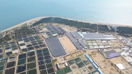 海と空、魚と太陽の光が共演