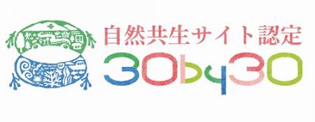 「コカ・コーラ ボトラーズジャパン 水源の森ほうき」