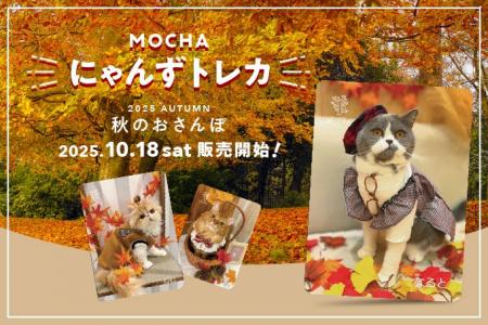 秋風情の溢れる紅葉や落ち葉と共ににゃんずたちが大集