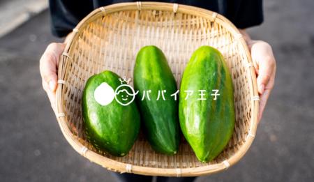 “酵素の王様”青パパイアが全国へ！宮崎県新富町発『パ
