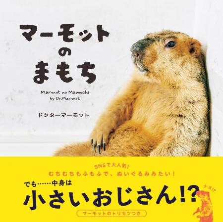 “自然界のぬいぐるみ”、“小さいおじさん”、“ケンカご