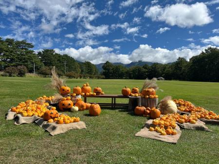 八ヶ岳の秋の恵みと食・酒の祭典「空と大地のハロウィ