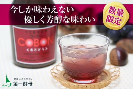 【美味しく菌活】芳醇な赤ぶどうを味わう天然酵utf-8