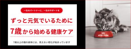 ずっと元気でいるために、7歳から始めるペットの健康