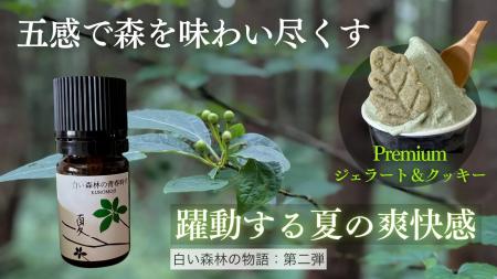 全ての忙しい現代人に贈る「躍動する夏の香り」、五感