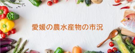 「愛媛の農水産物の市況」Web版ページを更新　計7市場