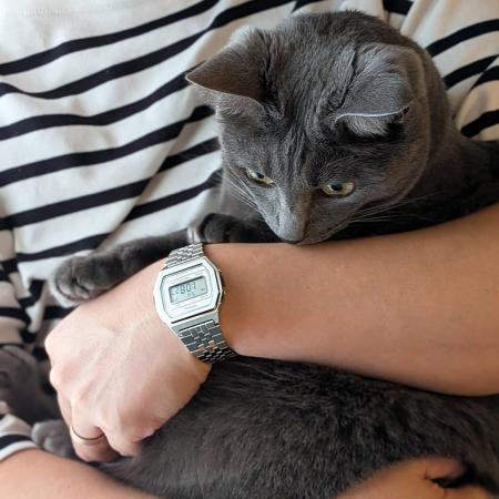 【CASIO CLASSIC】ヘアライン仕上げのシャープな佇ま