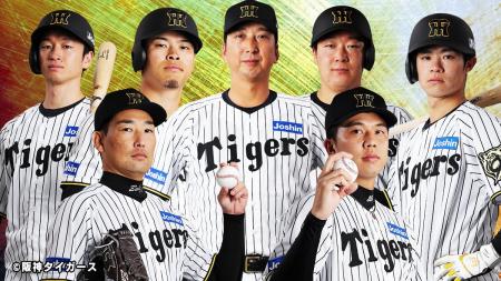 2025 JERA クライマックスシリーズ セ　阪神甲子園球