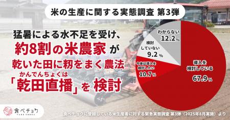 お米を乾いた田んぼで栽培する農法「乾田直播」、猛暑