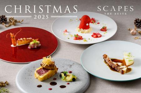 葉山 森戸海岸「SCAPES THE SUITE」　クリスマス限定